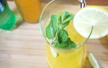 resep-orange-mojito